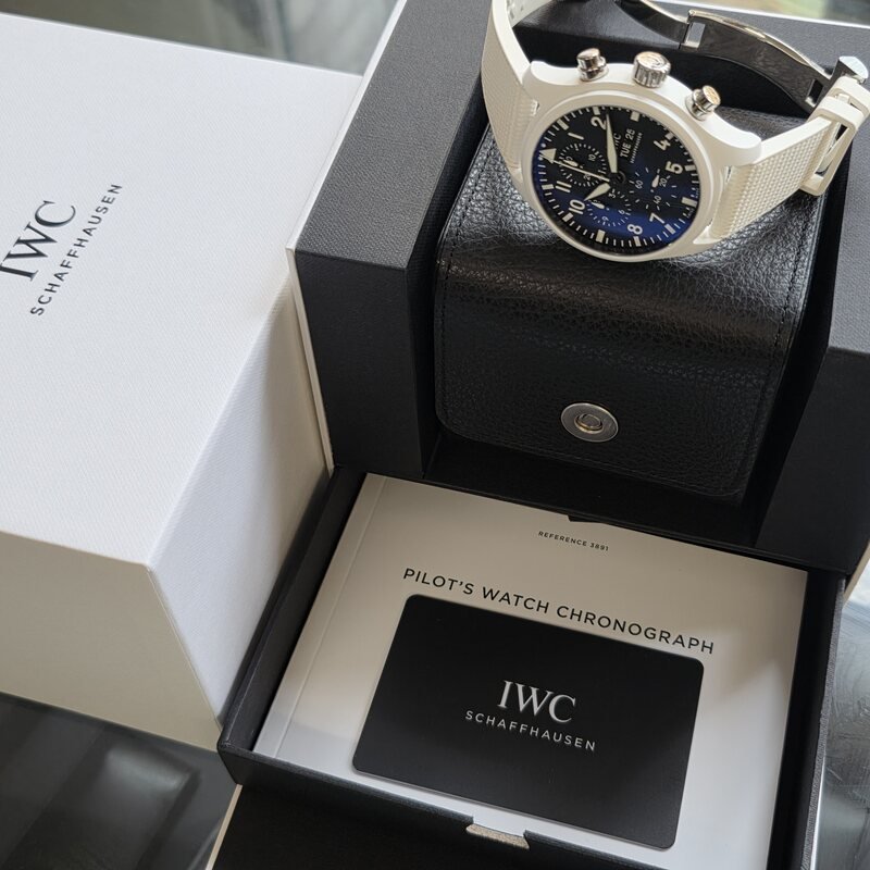 IWC Pilot IW389105 (2022)